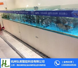 杭州飯店魚缸 弘英科技專業制作與技術咨詢指南
